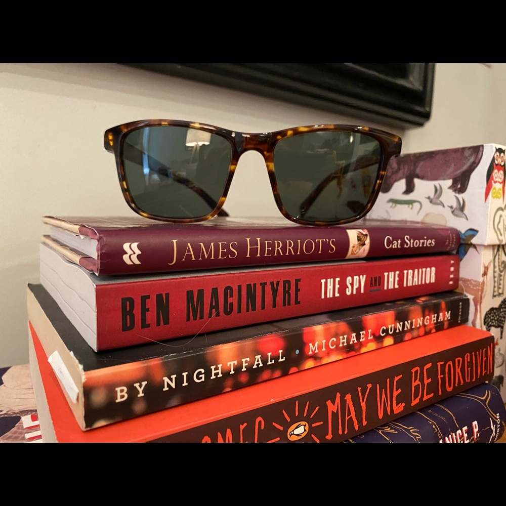 Warby Parker Wayfarer esque sunglasses- Ingram